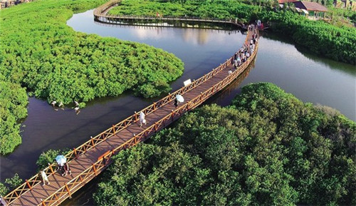 派橘新派果味火锅杯