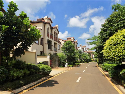 成记椒颜酸菜小鱼一月可以挣多钱，加盟成记椒颜酸菜小鱼联系方式是什么