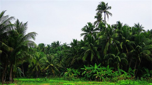 快手怎么调作品比例高低（快手作品画面比例）