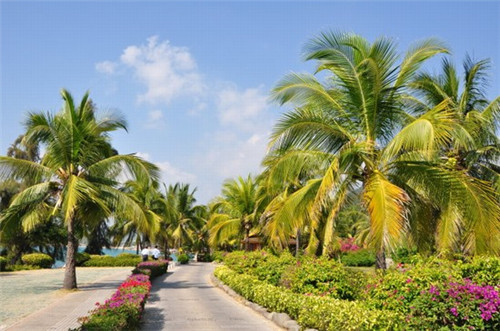 监理实施细则交底依据是什么（监理细则交给谁）