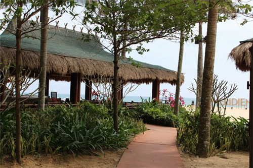 service费用如何表达（服务费用模式）