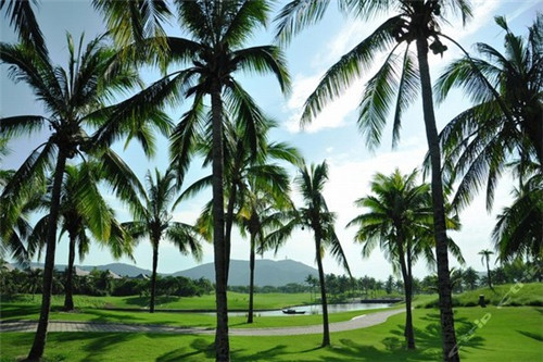 资本成本是什么意思（啥是资本成本）